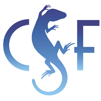 csf-new